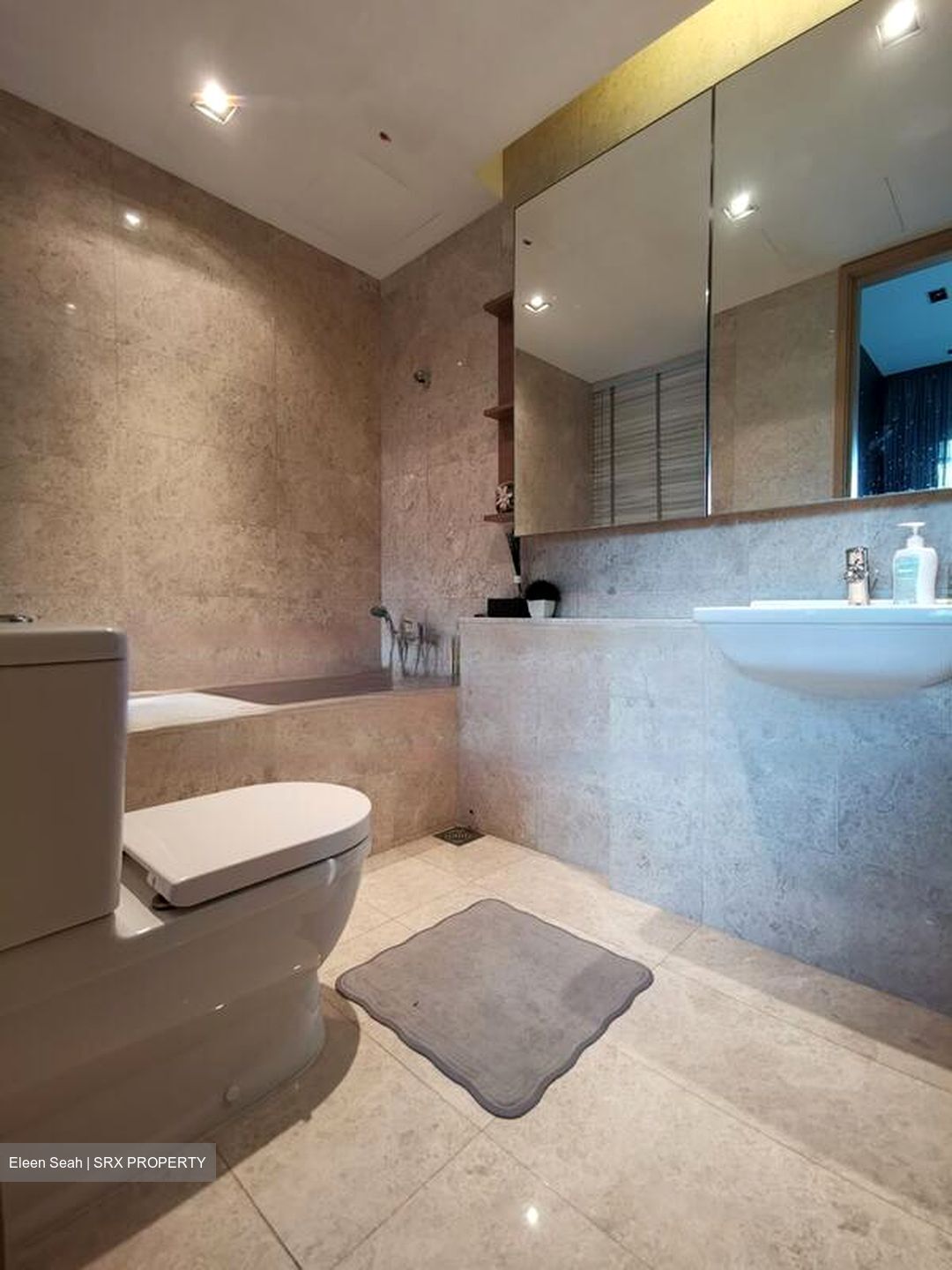 Soleil @ Sinaran (D11), Condominium #470429671